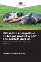 Utilisation énergétique du biogaz produit à partir des déchets porcins 6209124348 Book Cover