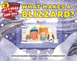 What Makes a Blizzard? 0062484729 Book Cover