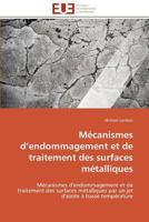 Ma(c)Canismes D Endommagement Et de Traitement Des Surfaces Ma(c)Talliques 3841790909 Book Cover