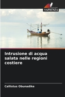 Intrusione di acqua salata nelle regioni costiere 6206010619 Book Cover