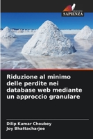 Riduzione al minimo delle perdite nei database web mediante un approccio granulare (Italian Edition) 6208845947 Book Cover