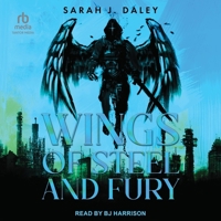 Wings of Steel and Fury B0FLJBKWYY Book Cover