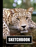 Sketchbook: Leopard Cover Design White Paper 120 Blank Unlined Pages 8.5 X 11 Matte Finished Soft Cover 1704352754 Book Cover