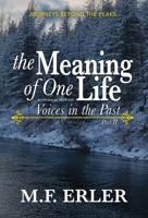 The Meaning of One Life: A Christian Time Travel Family Saga Inspired by True Events (Journeys Saga) 1945146745 Book Cover