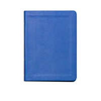 LSB New Testament with Psalms and Proverbs, Blue Faux Leather: Legacy Standard Bible 1636641989 Book Cover