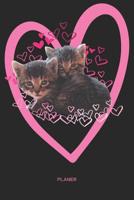 Planer: Katzen Kalender Terminkalender Terminplaner Wochenkalender - Geschenk f�r Babykatzen Fans Katzenliebhaber Katzenbesitzer Frauen zum Geburtstag Weihnachten Ostern Valentinstag - A5 Softcover 12 1074834283 Book Cover