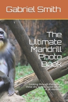 The Ultimate Mandrill Photo Book: Looking through the eyes of these shy and reclusive largest of all monkeys B085KT8DF7 Book Cover