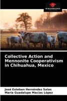Collective Action and Mennonite Cooperativism in Chihuahua, Mexico 620353871X Book Cover