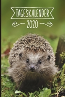Tageskalender 2020: Igel Terminkalender ca DIN A5 weiß über 370 Seiten I Jahreskalender I Terminplaner I Tagesplaner 1700901672 Book Cover