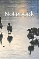 Notebook: Lined, Soft Cover, Notebook, Journal, Plain Notebook 1671235444 Book Cover