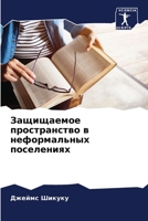 Защищаемое пространств&# 6206869601 Book Cover