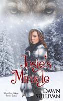 Josie's Miracle 150309524X Book Cover