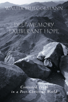 Deep Memory, Exuberant Hope: Contested Truth in a Post-Christian World 0800632370 Book Cover