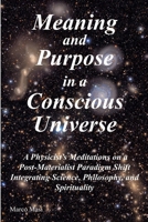 Meaning and Purpose in a Conscious Universe: A Physicist's Meditations on a Post-Materialist Paradigm Shift Integrating Science, Philosophy, and Spiri 3948295204 Book Cover