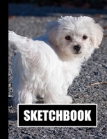 Sketchbook: Cute White Puppy Dog Cover Design | White Paper | 120 Blank Unlined Pages | 8.5" X 11" | Matte Finished Soft Cover 1711271225 Book Cover