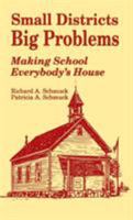 Small Districts, Big Problems: Making School Everybody's House 0803960255 Book Cover