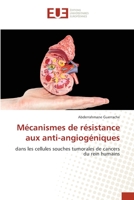Mécanismes de résistance aux anti-angiogéniques: dans les cellules souches tumorales de cancers du rein humains 6203420972 Book Cover