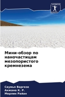 Мини-обзор по наночастицам мезопористого кремнезема 6206117243 Book Cover