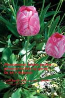 Phenomenal Arabic Poetry Phrases Written by Genie 1547010134 Book Cover