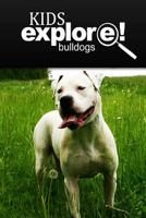 Bulldogs - Kids Explore: Animal books nonfiction - books ages 5-6 1497510554 Book Cover