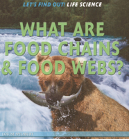 What Are Food Chains & Food Webs? B0GN1QKP2D Book Cover