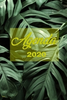 Agenda 2020 : Format de Poche A5, Semainier et Calendrier - Motif Feuilles 1672291550 Book Cover