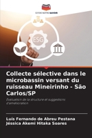 Collecte sélective dans le microbassin versant du ruisseau Mineirinho - São Carlos/SP (French Edition) 6209401333 Book Cover