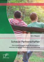 Schwule Partnerschaften: Eine Vergleichsweise Junge Beziehungsform Zwischen Akzeptanz, Ambivalenz Und Ablehnung 3842870558 Book Cover