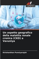 Un aspetto geografico della malattia renale cronica (CKD) a Vavuniya (Italian Edition) 6208840759 Book Cover