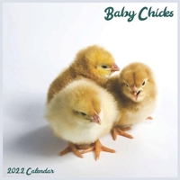Baby Chicks 2022 Calendar: Official Baby Chicken 2022 Calendar 16 Month B093WKRFNW Book Cover