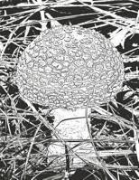 Sketchbook: 8.5 X 11 Mushroom Harvest Sketchbook Personalized Artist Sketchbook 109 Blank Pages For Sketching Drawing and Creative Doodling, Blank Paper Sketchbook For Drawing (Handbook) 1077352808 Book Cover