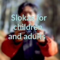 Navrati Special: Slokas for children and adults 1684879213 Book Cover