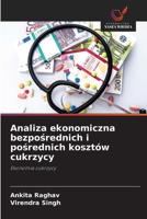 Analiza ekonomiczna bezpośrednich i pośrednich kosztów cukrzycy 6209604390 Book Cover