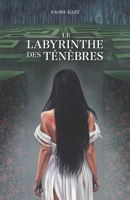 Le Labyrinthe des Ténèbres (Édition Française) (French Edition) B0F31CJTLJ Book Cover
