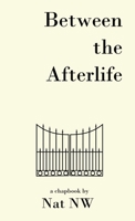 Between The Afterlife 108792877X Book Cover