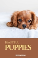 Beautiful Puppies: An Adult Picture Book and Nature Photography with Dog Animal Images with NO Text or Words for Seniors, The Elderly, Dementia And ... For Easy Relaxation, Tranquility And Peace B08JB7MBY3 Book Cover