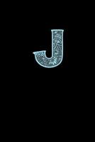 J: Decorative Monogram Notebook 179804837X Book Cover