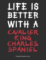 Life is Better With A Cavalier King Charles Spaniel Weekly Planner 2020: Weekly Calendar / Planner Gift, 156 Pages, 8.5x11, Soft Cover, Matte Finish 1677021659 Book Cover