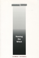 Naming the Witch (Cultural Memory in the Present) 0804751951 Book Cover