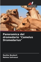 Panoramica del dromedario "Camelus Dromedarius" 6205907623 Book Cover