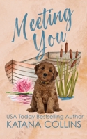 Meeting You: A Day with the Tripps 1548390194 Book Cover