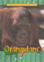 Orangutans 0760841330 Book Cover