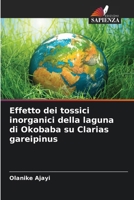 Effetto dei tossici inorganici della laguna di Okobaba su Clarias gareipinus (Italian Edition) 6208207290 Book Cover