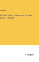 The Fossil Plants of the Devonian and Upper Silurian Formations 338214218X Book Cover