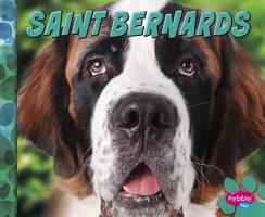 Saint Bernards 1491479779 Book Cover