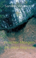 Frischer Morgen am alten Abgrund (German Edition) 3769368088 Book Cover