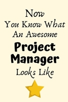 Now You Know What An Awesome Project Manager Looks Like: Project Manager Gifts, Christmas Gift For Project Manager,Journal Gift Funny Blank Lined Case Notebook Diary Organizer Planner 169779890X Book Cover