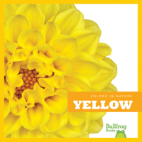 Yellow 1620310384 Book Cover