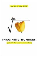 Imagining Numbers 0141008873 Book Cover