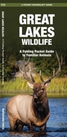 Great Lakes Wildlife: A Folding Pocket Guide to Familiar Species 158355095X Book Cover